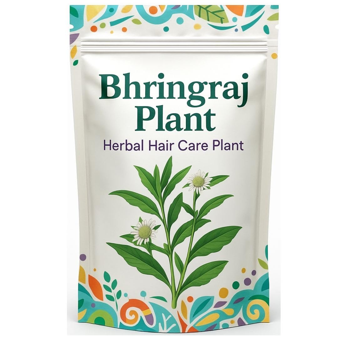 (170 Count) Bhringraj Planting Seeds – Easy to Grow – Ideal for Home Garden & Pots-image-49