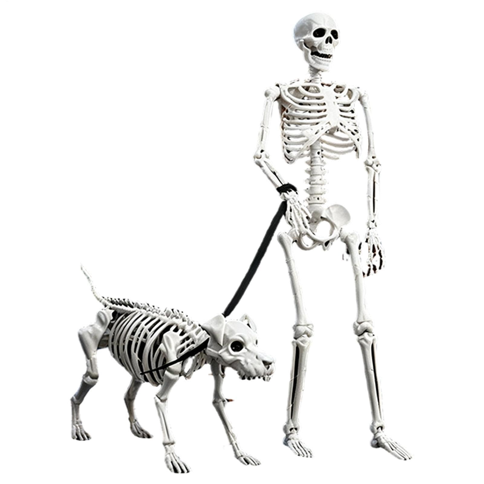 Scheletro Decorazioni Posable Creepy Human Walking Dog Puntelli