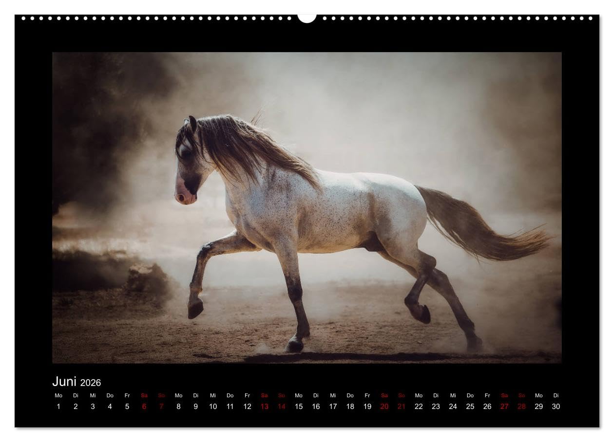 Die Faszinierende Welt der Pferde (Wandkalender 2026 DIN A2 quer), CALVENDO Monatskalender: Lassen Sie sich entführen in die Faszinierende Welt der Pferde (CALVENDO Tiere)