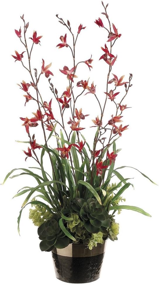 38" Dendrobium and Succulents Floral Arrangement with Ceramic Pot