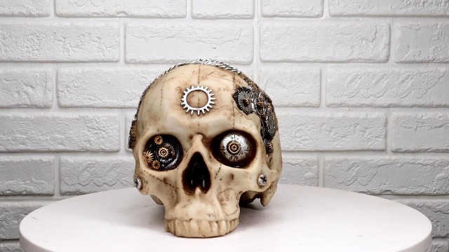 Cornelius Skelton ape 未開封 Replica Male Chimpanzee Pelvis and Femur — Skulls Unlimited