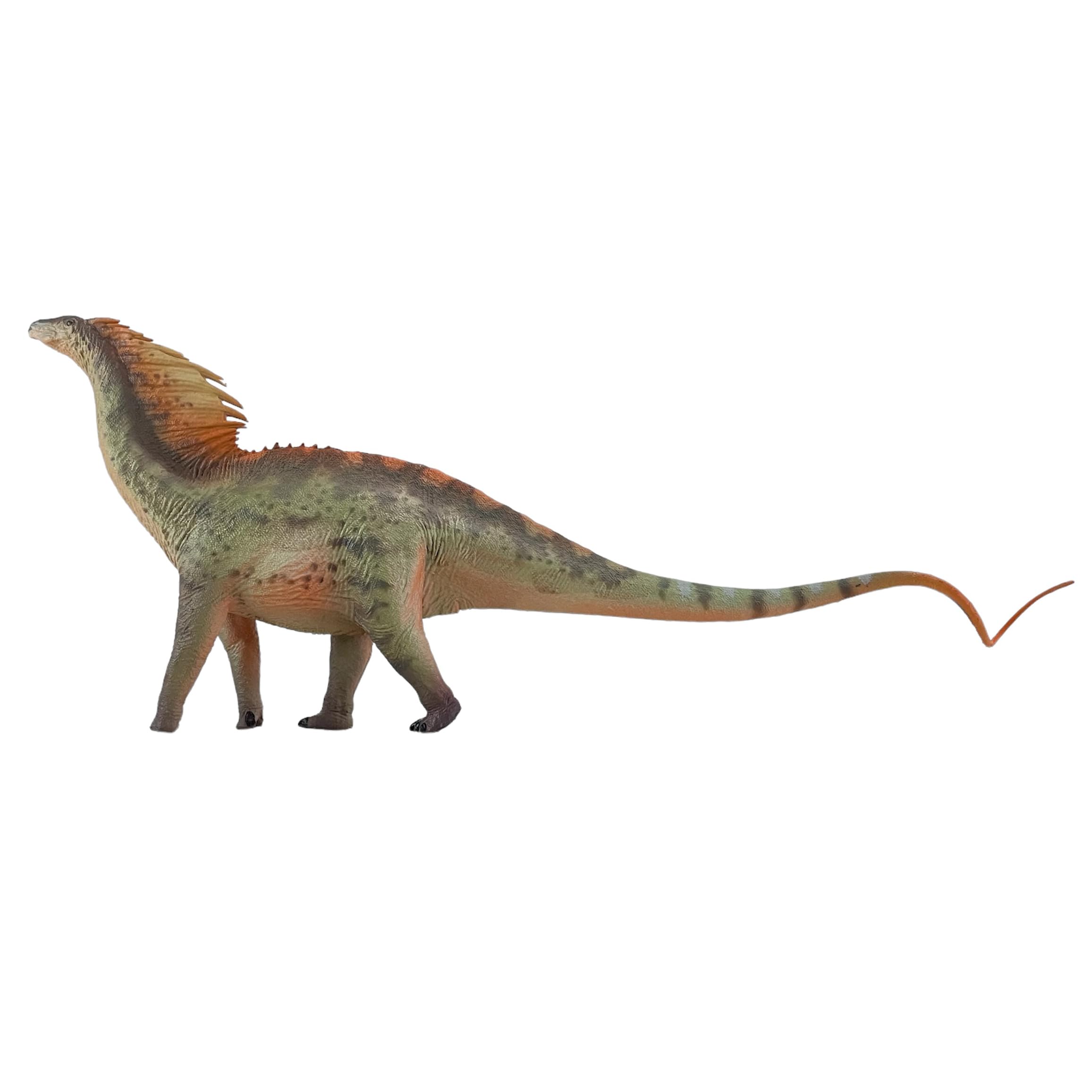 Amazon.com: HAOLONGGOOD New Amargasaurus 1：35 Science and Art