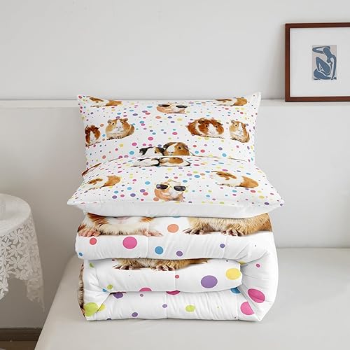 Miniatura 5 de Juego de ropa de cama de conejillo de indias para niñas y niños, bonito edredón con patrón de caballero, decorativo, caricatura, adorable juego de