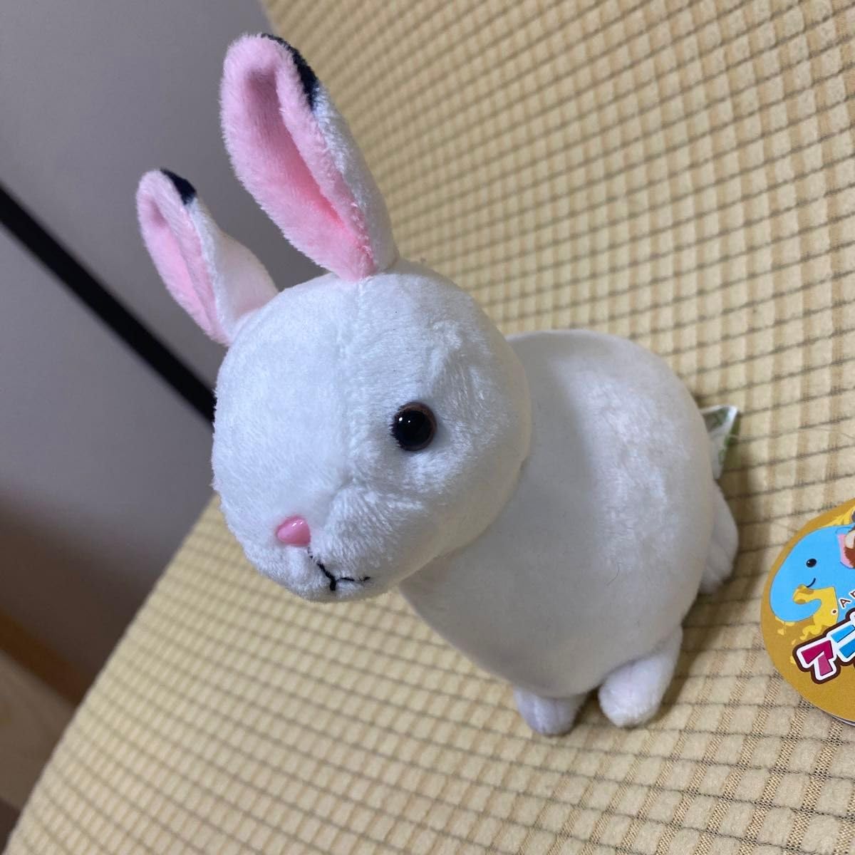 Amazon.co.jp: アニマルパーク ぬいぐるみ ユキウサギ うさぎ 白