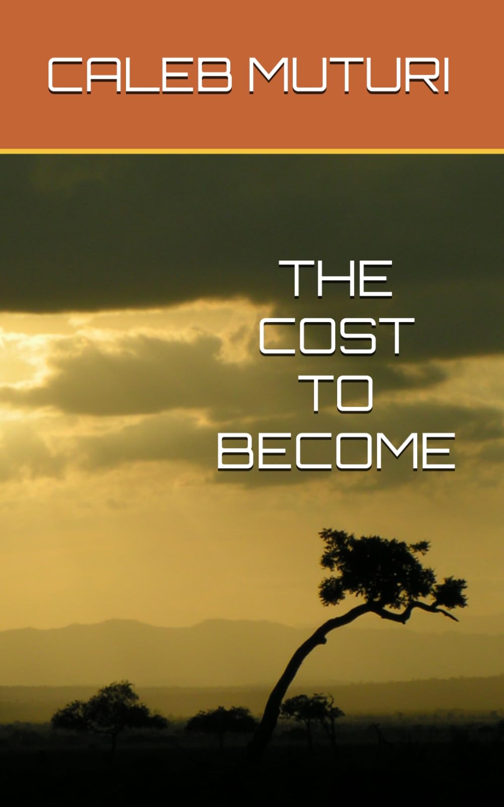 THE COST TO BECOME