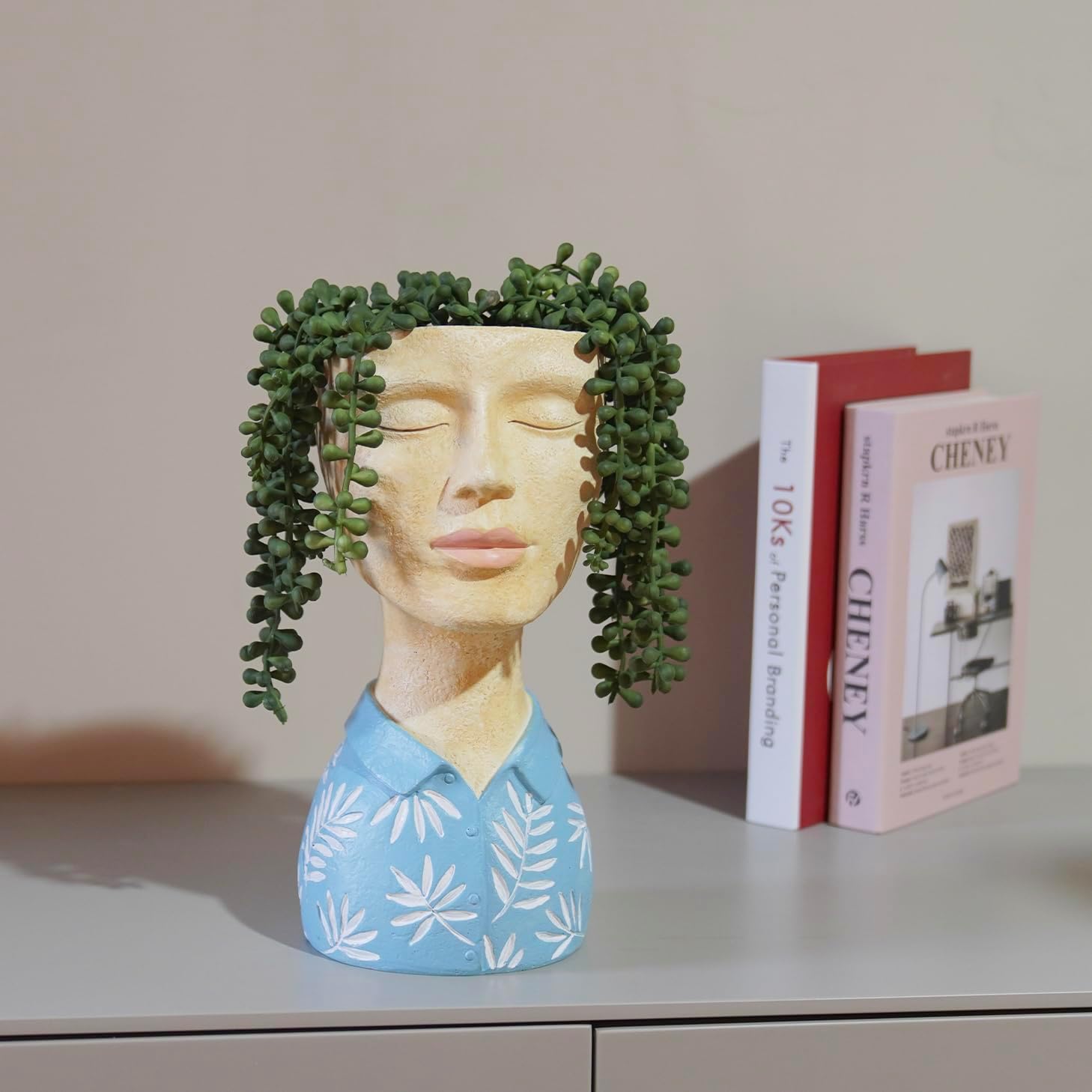 DiliComing Face Planter-Pots for Indoor Plants Cute Plant Pots Head Planter
