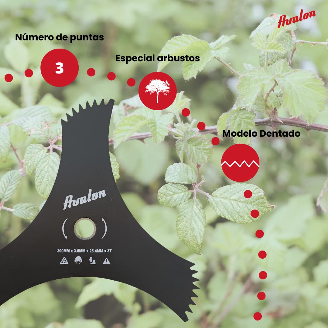 DISCO SILVAS 300 X 25,4 X 3,0 X 2 D - Kartódromo Serra Da Estrela - KSE - Foto 3