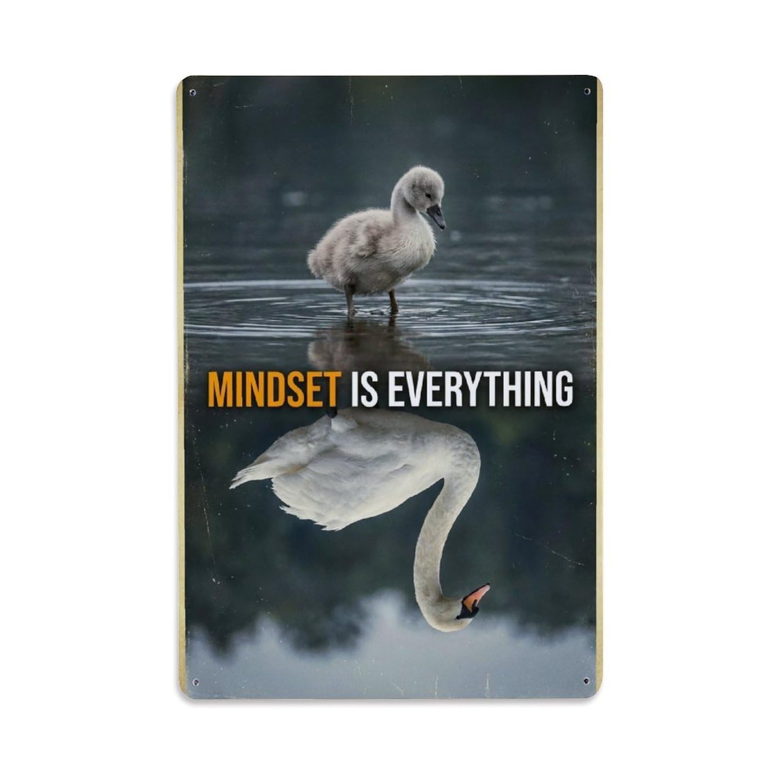 Mindset Is Everything Birds Animals Motivation Quote Metal Tin Sign