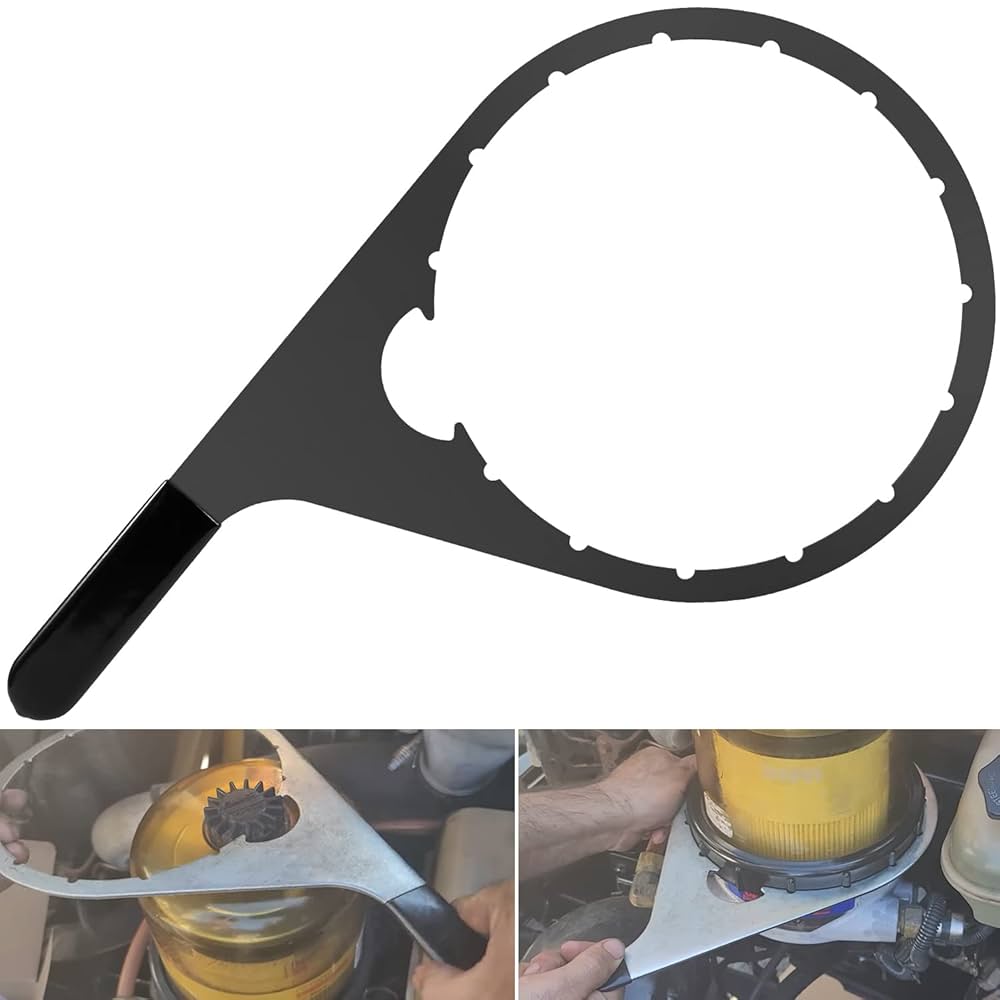 TAKEれんこん Amazon.com: 8