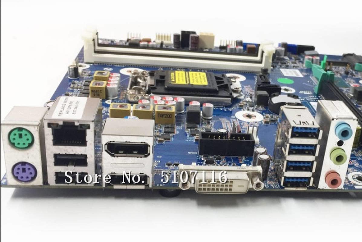 Amazon.in: Buy Desktop Motherboard for Z240 Tower 837344-001