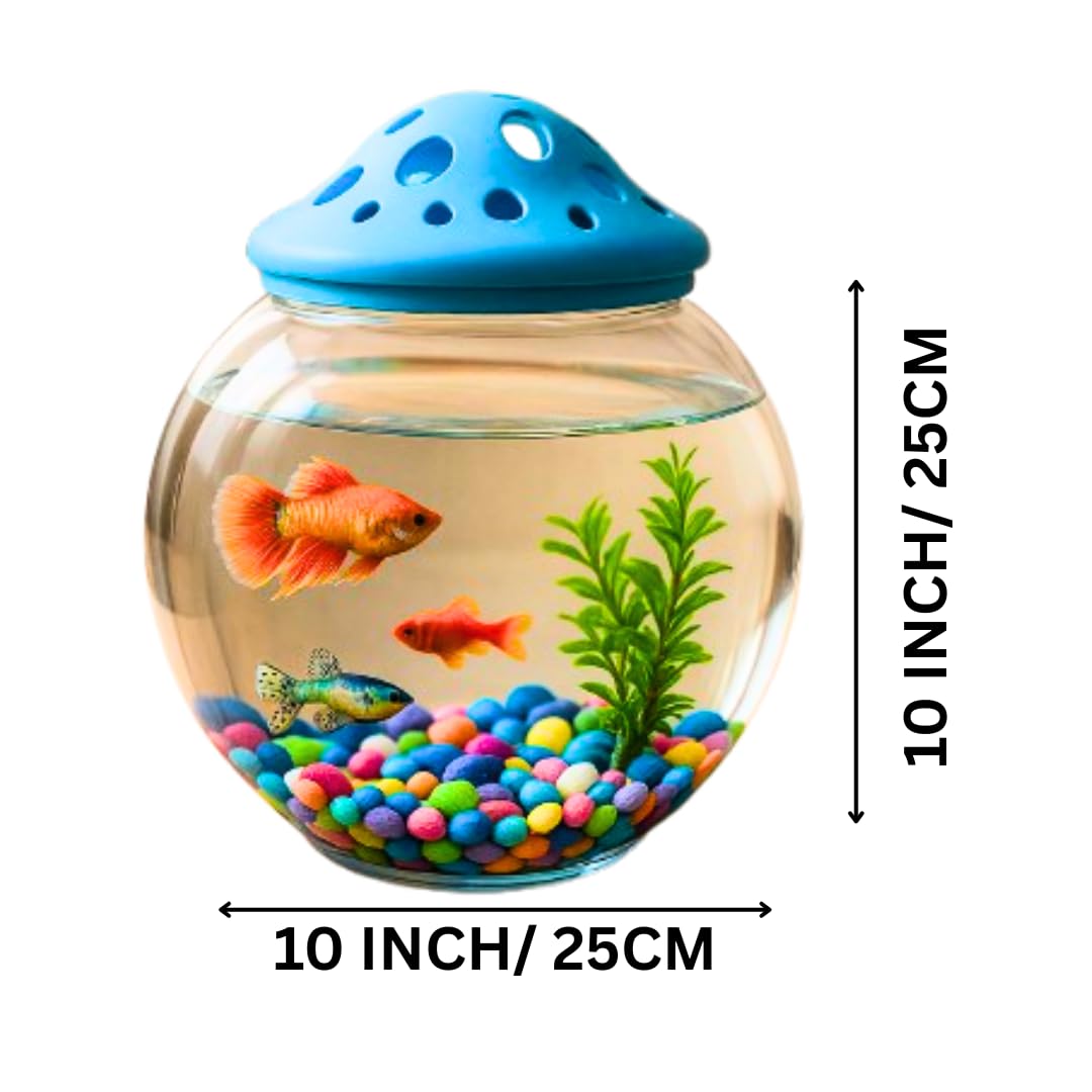 KSH STORE Aquarium Fish Bowl, 10 inch Mushroom Cap with Stand