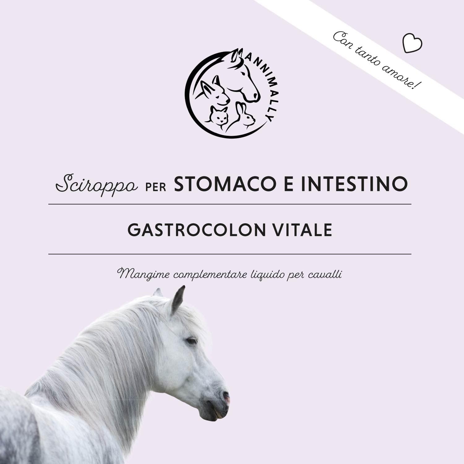 Liquido Gastro Intestinale per cavalli 1000 ml - Gastro Colon Vital per supportare la digestione, ad esempio in caso di diarrea - Erbe naturali per lo stomaco dei cavalli