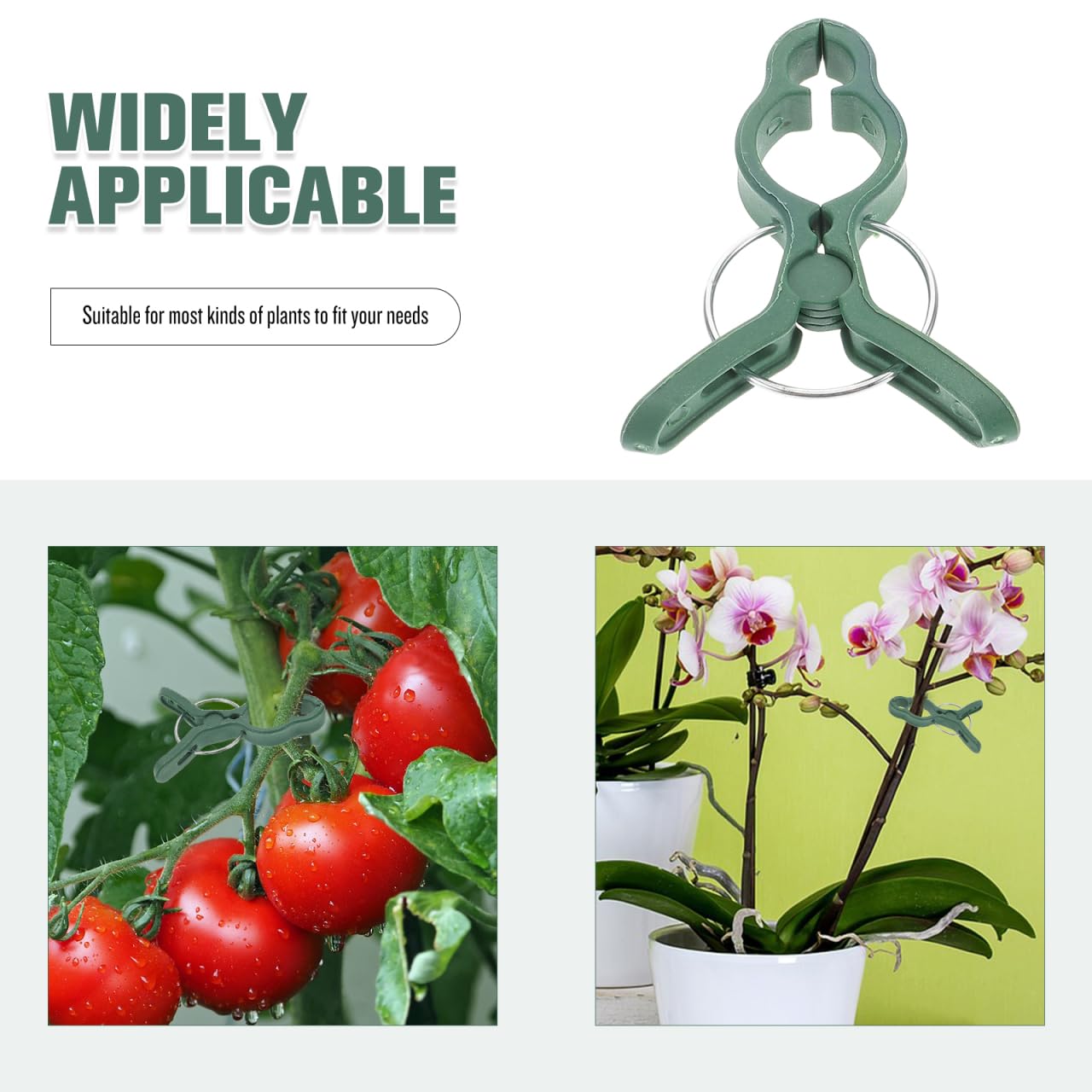 Didiseaon 50 Stück Pflanzenclips: Pflanzenklammern Groß Pflanzenclips für Kletterpflanzen Tomatenclips Klammern für Pflanzen Tomaten Orchideen und Gartenpflanzen
