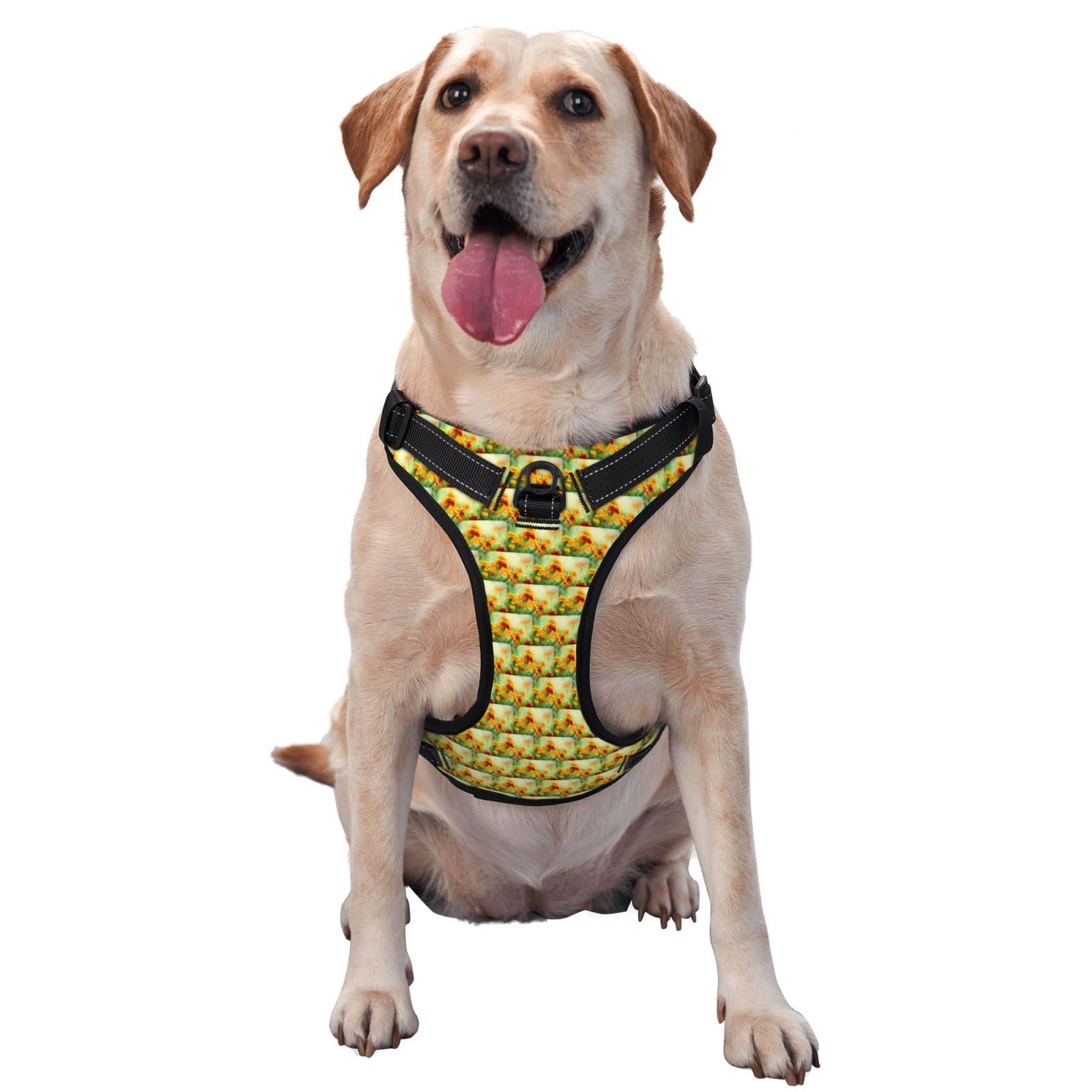Harnais anti-traction réglable pour chien : stoppez les tractions lors des balades