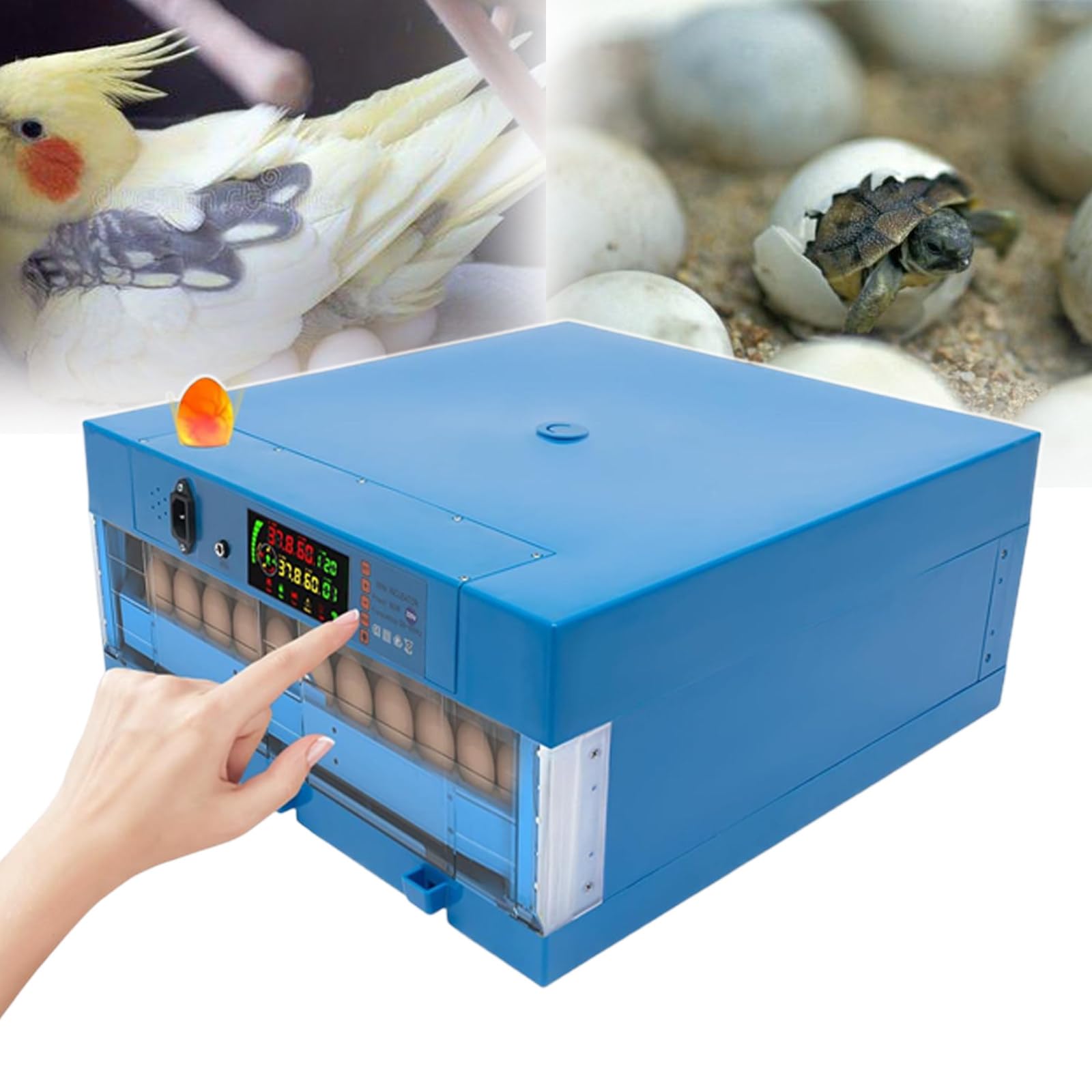 Incubatrice per La Schiusa di Pulcini, Girauova Automatico, Contiene 64 Uova, Display di Temperatura E umidità, Candela per Uova, per Piccoli Volatili, Polli, Anatre, Quaglie