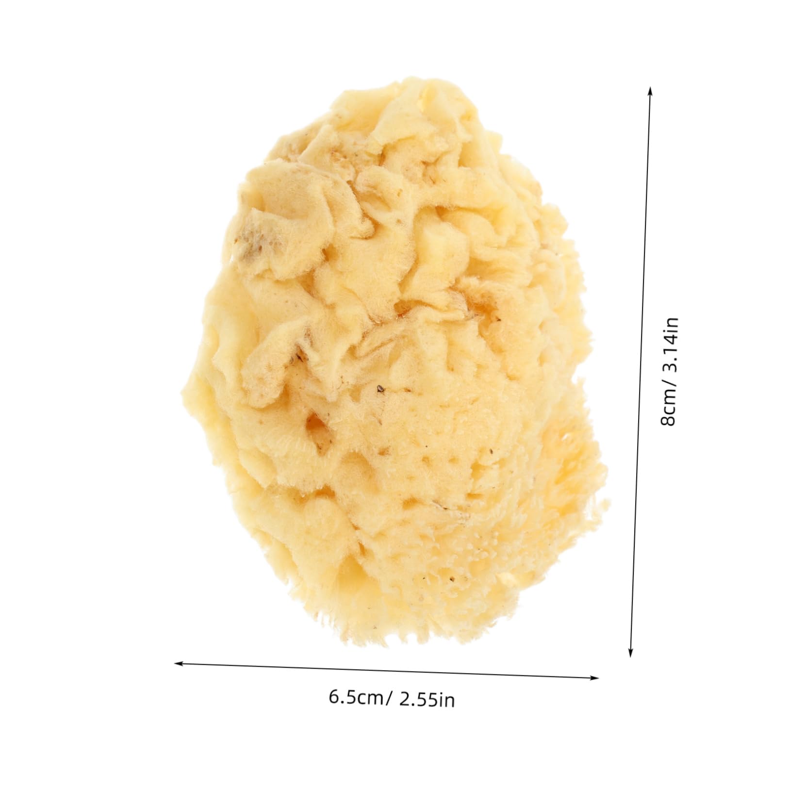 Holibanna Natural Art Sponges for Painting Soft Durable and Highly Absorbent Watercolor Tool for Artists Multi Functional Craft Sponge for DIY Projects