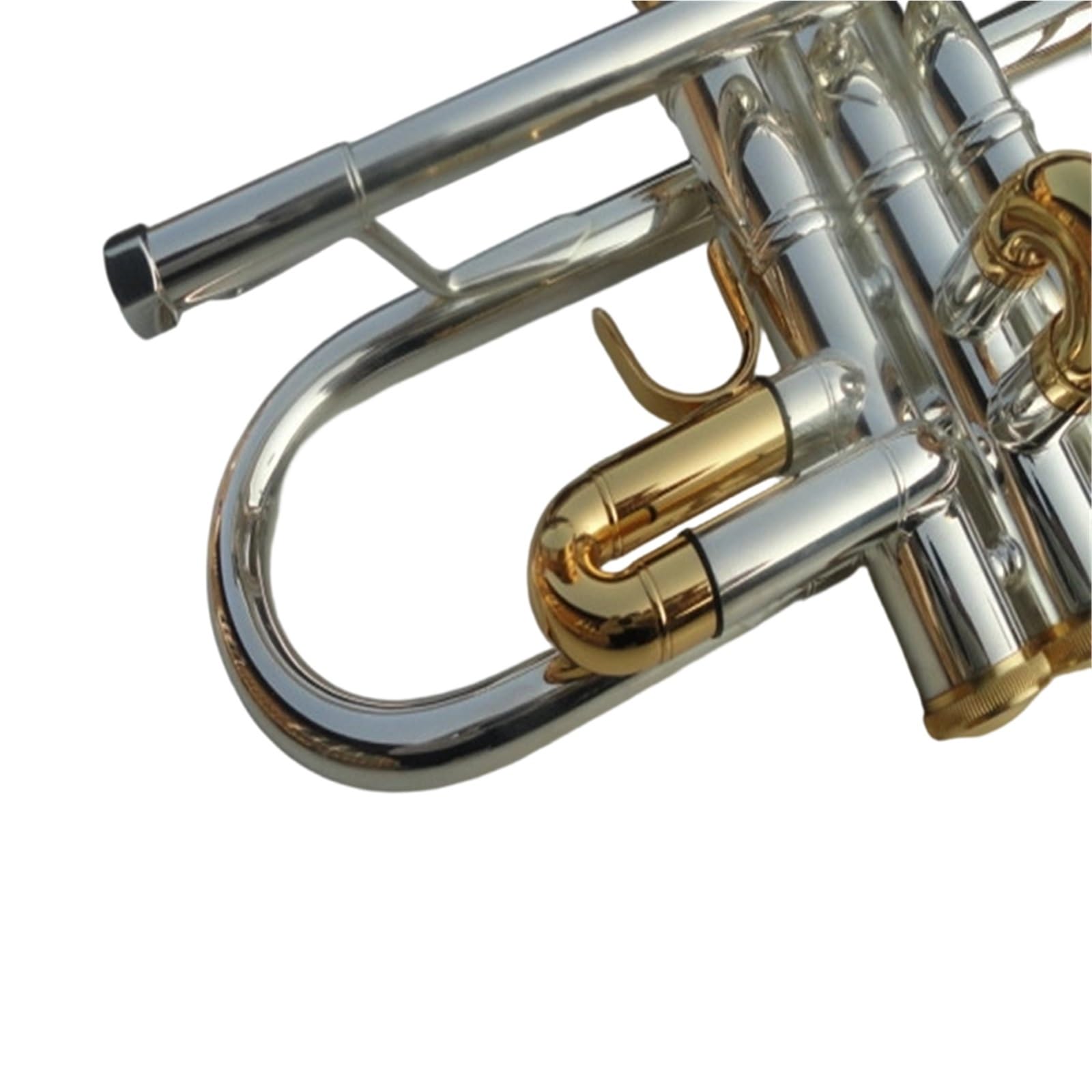 Instrument Muzyczny Trąbka Początkujący Dorośli Grający Na Instrumencie Trąbkowym C