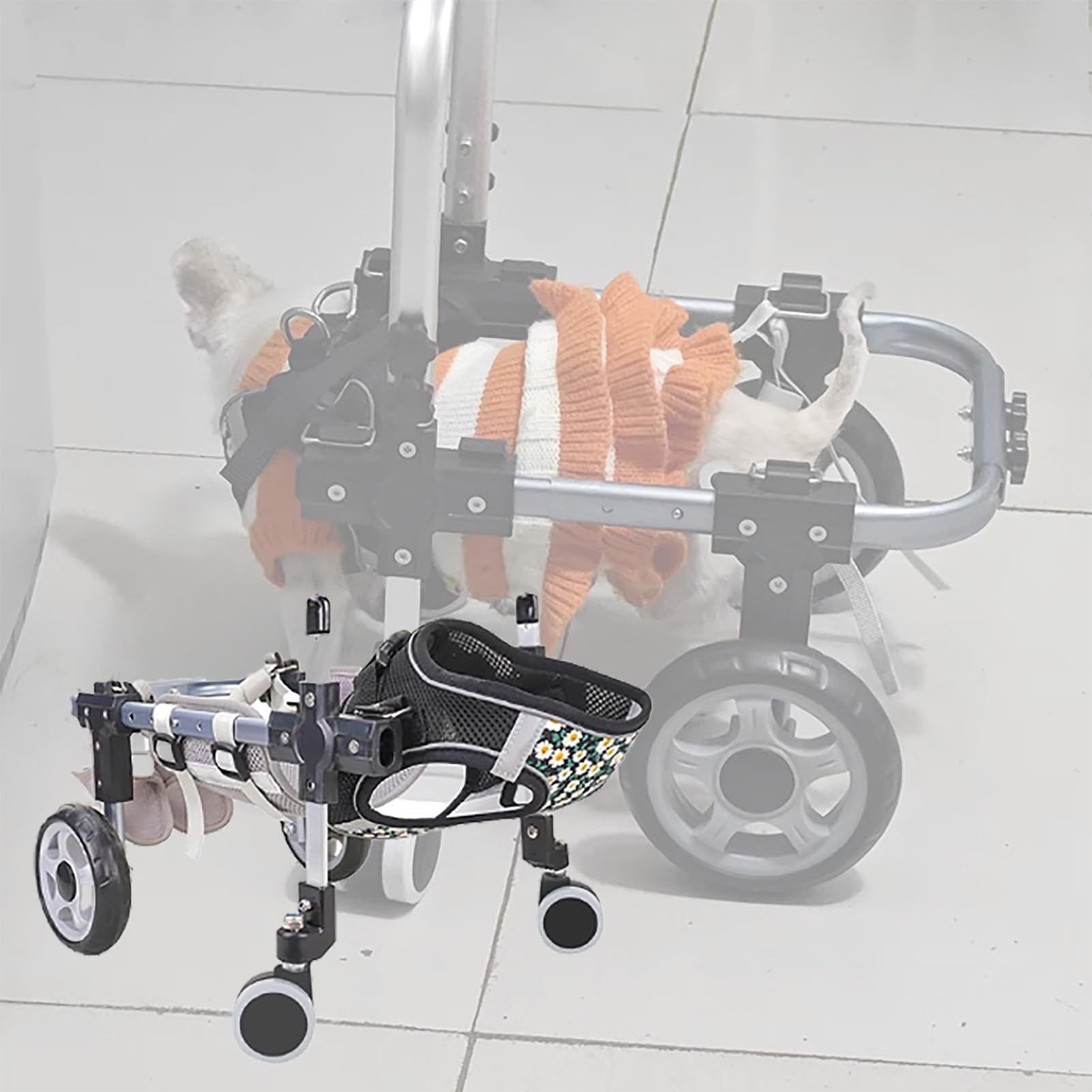 Carrito para perros discapacitados de 4 ruedas: devuélvele la movilidad a tu mascota