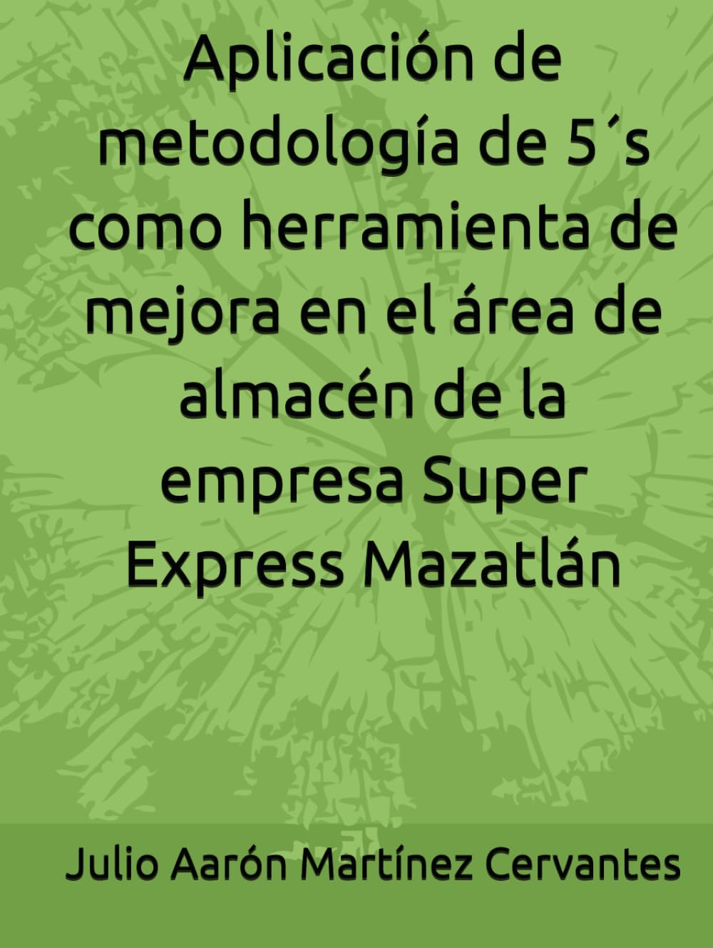 Aplicación de metodología de 5´s como herramienta de mejora en el área de almacén de la empresa Super Express Mazatlán