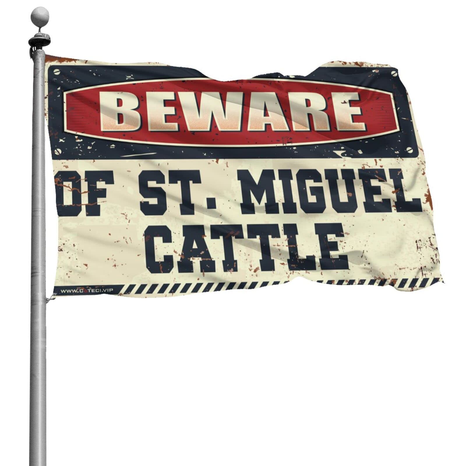 Drapeau humoristique St. Miguel géant pour afficher votre passion avec humour dans le salon