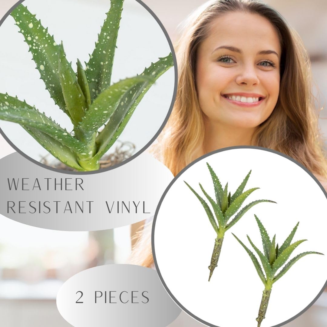 Amazon.com: Factory Direct Craft Artificial Aloe Vera Succulent Stems Set  of 2 - Fake Greenery for Arrangements and Displays (8-1/2 Inches High) :  Home & Kitchen