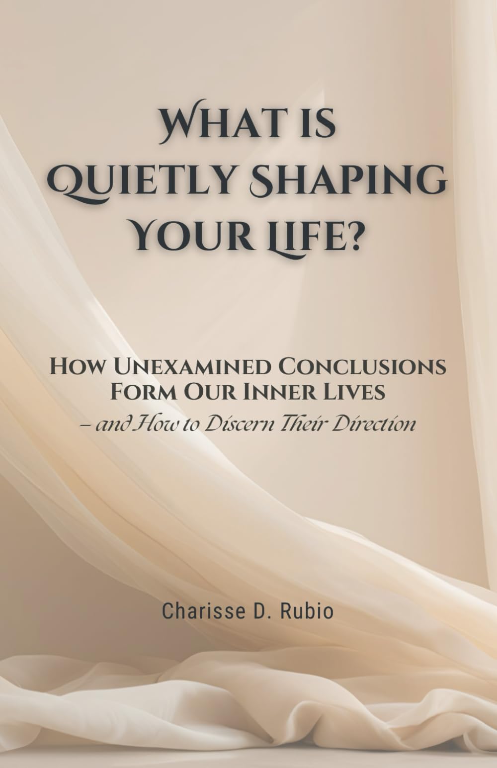 What Is Quietly Shaping Your Life?: How Unexamined Conclusions Form Our Inner Lives — and How to Discern Their Direction (Discernment & the Interior Life)