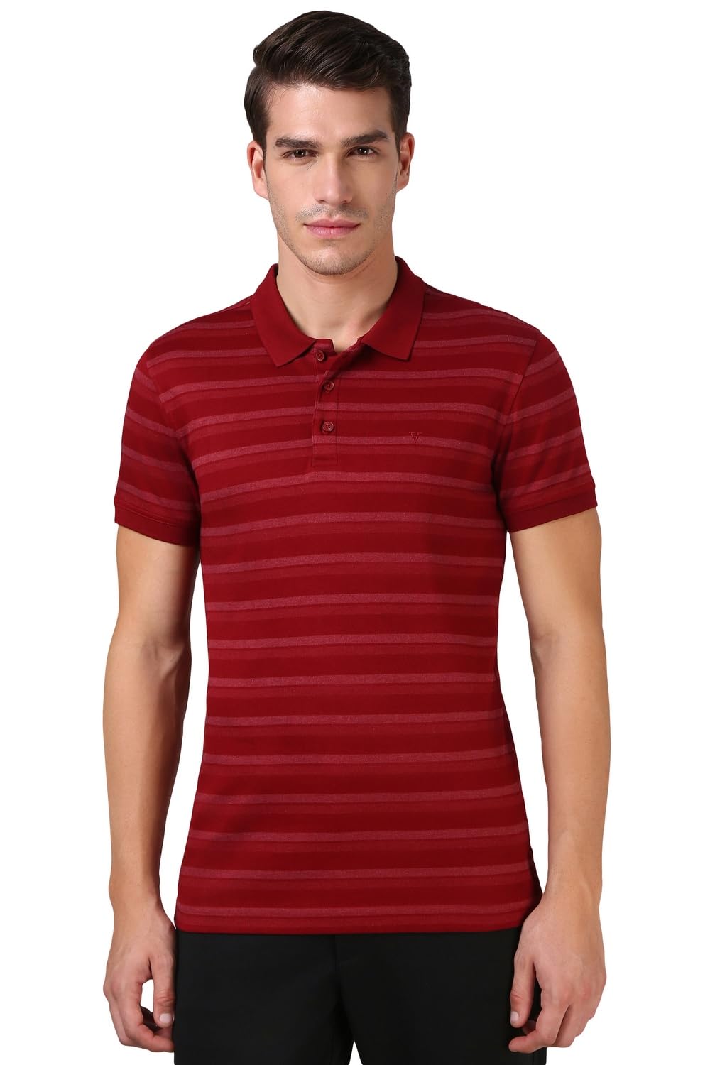 van heusen Men’s Striped Regular Fit T-Shirt | Comfortable Polo Neck | Soft Breathable Casual Wear | Summer Favorite | Horizontal Smart Stripes| Style 60063-picture-30