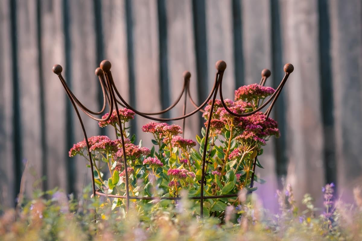 Gartendeko Rost Deko für draußen: Staudenstütze & Gartenkrone aus Metall, 45 x 50 cm, wetterfest, dekorativ bepflanzbar, ideal für Gartenliebhaber