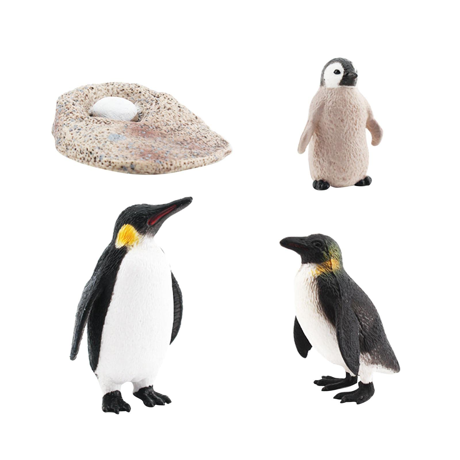 KiBcsLic Life Cycle Animal Figures Animal Toys Cognitive Playset Penguin Life Model for Developmental Toys Educational Project, Style B