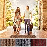 ZGR Runner Rug 2 ft x 6 ft Indoor/Outdoor Low Profile, Hallway, Kitchen, Patio, Deck Area, RV,...