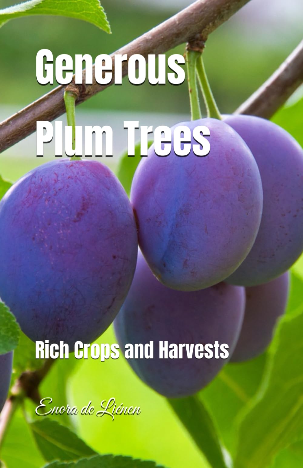 Generous Plum Trees: Rich Crops and Harvests