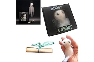 Adopt a Ghost in a Box: Your Spirited Companion