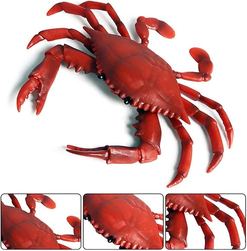 Miniatura 3 de Juguetes realistas modelo de animales marinos de cangrejo, 2 piezas simuladas de animales de vida marina colección de figuras de criaturas marinas