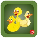 Simple interface for easy use Duck Puzzle (PR Games)