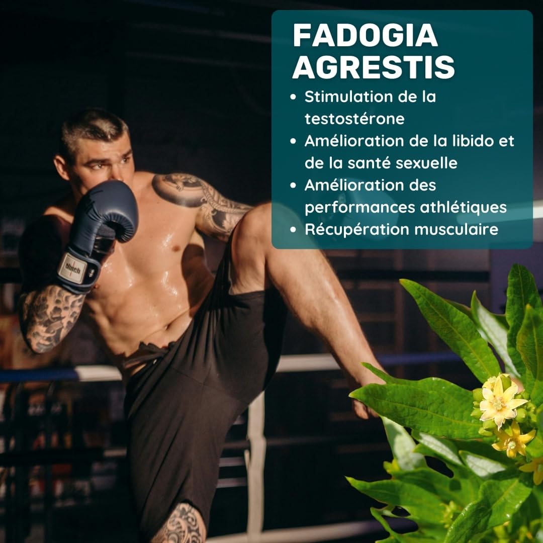 Fadogia Agrestis 450 mg * 60 Gélules - Extrait de Fadogia Agrestis hautement concentré : 450 mg par Gélule - Fadogia Agrestis Hommes - Soulagement de la douleur - Énergie et vitalité - Aphrodisiaques