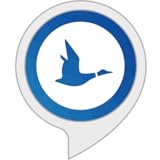 Blue Duck Scooters - Fly Wild
