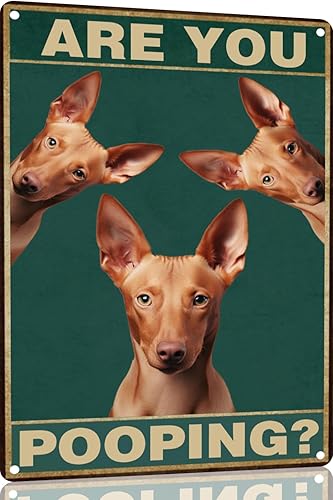 Vista 19 de Bichon Frise Dog - Cartel de 12 x 16 pulgadas con texto en inglés "Are You Pooping" para decoración de baño, póster de metal para perro amante