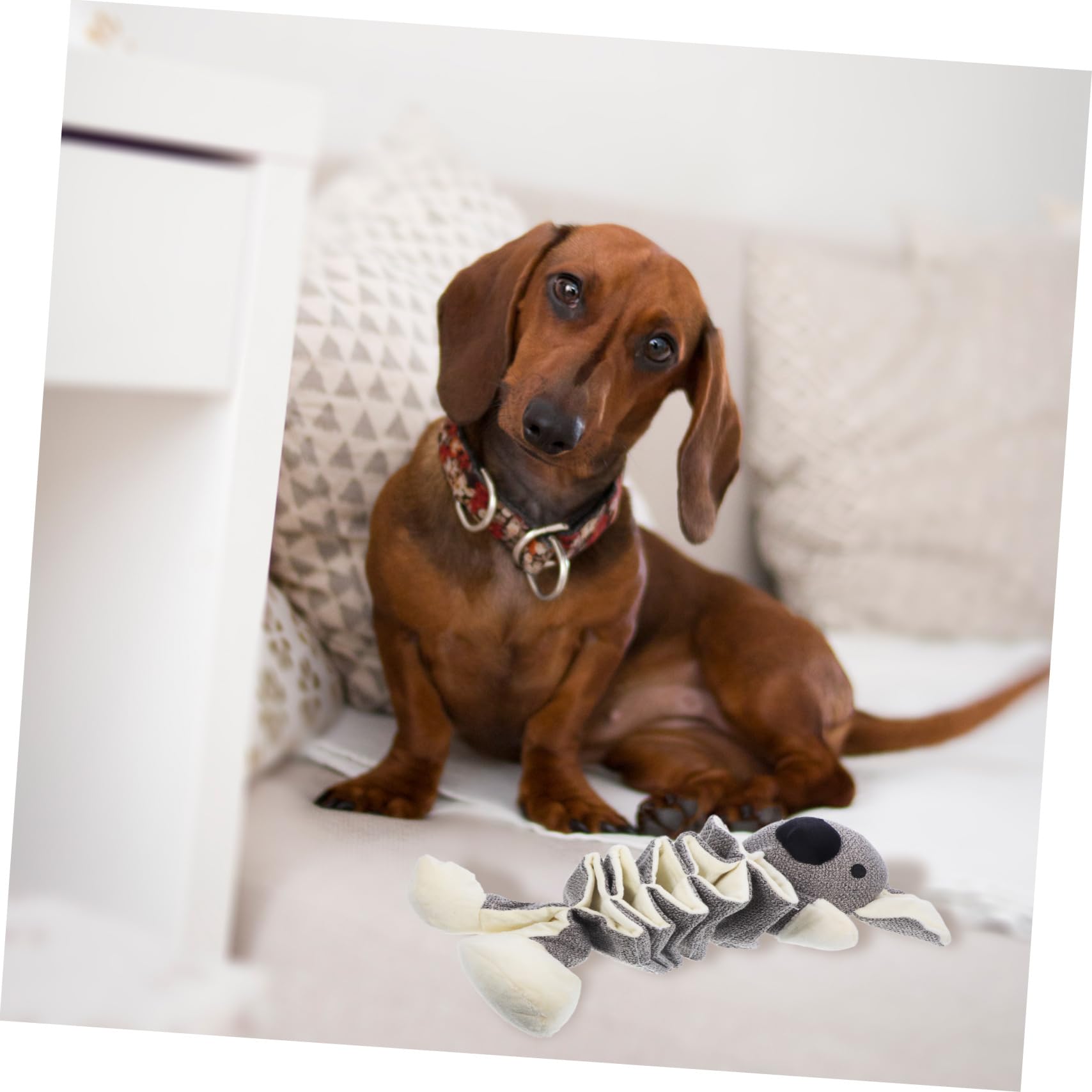 Didiseaon 2pezzi Giocattolo Per Cani Interattivo Peluche Giocattolo Squeaky Resistente Per Masticare e Giocare Compagno Per Noia e Comportamenti Distruttivi