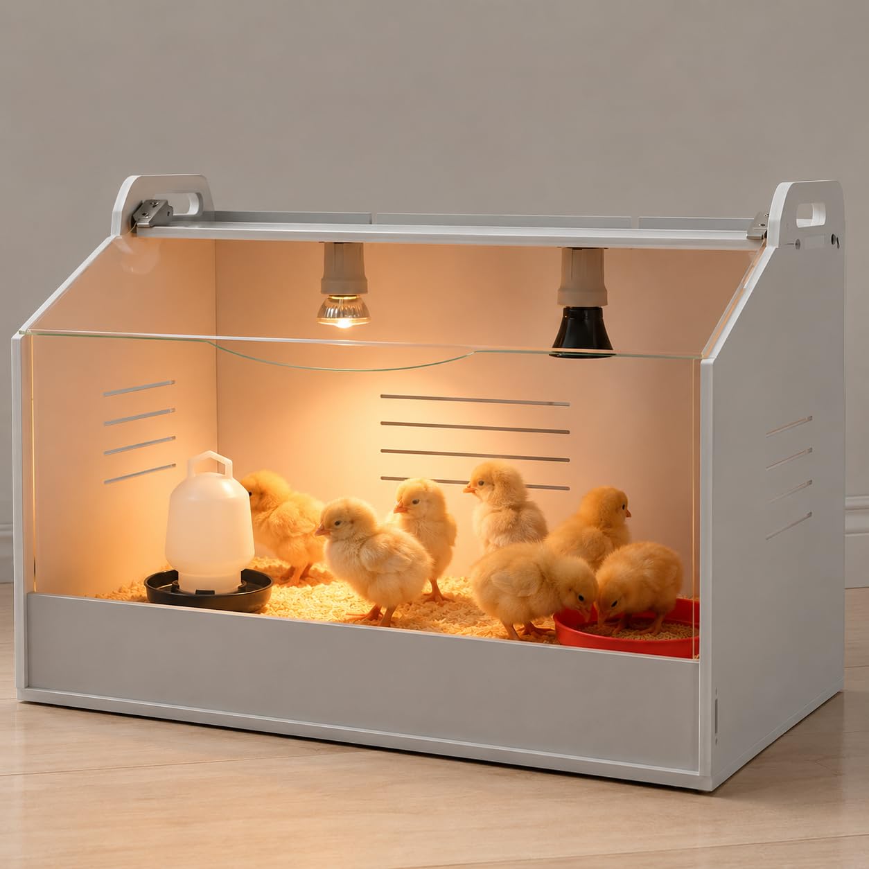 Kit de iniciación para criar pollitos con placa térmica, jaula de gallinero para 20 pollitos, apto para calefacción de pollos, patos, pájaros, lagartos (M/58 x 40 x 42 cm)