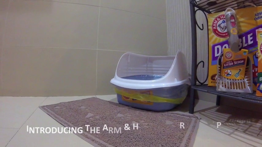Amazon.com : Arm & Hammer Rimmed Cat Litter Box with High Sides and  Microban, Made in USA : Pet Litter : Pet Supplies