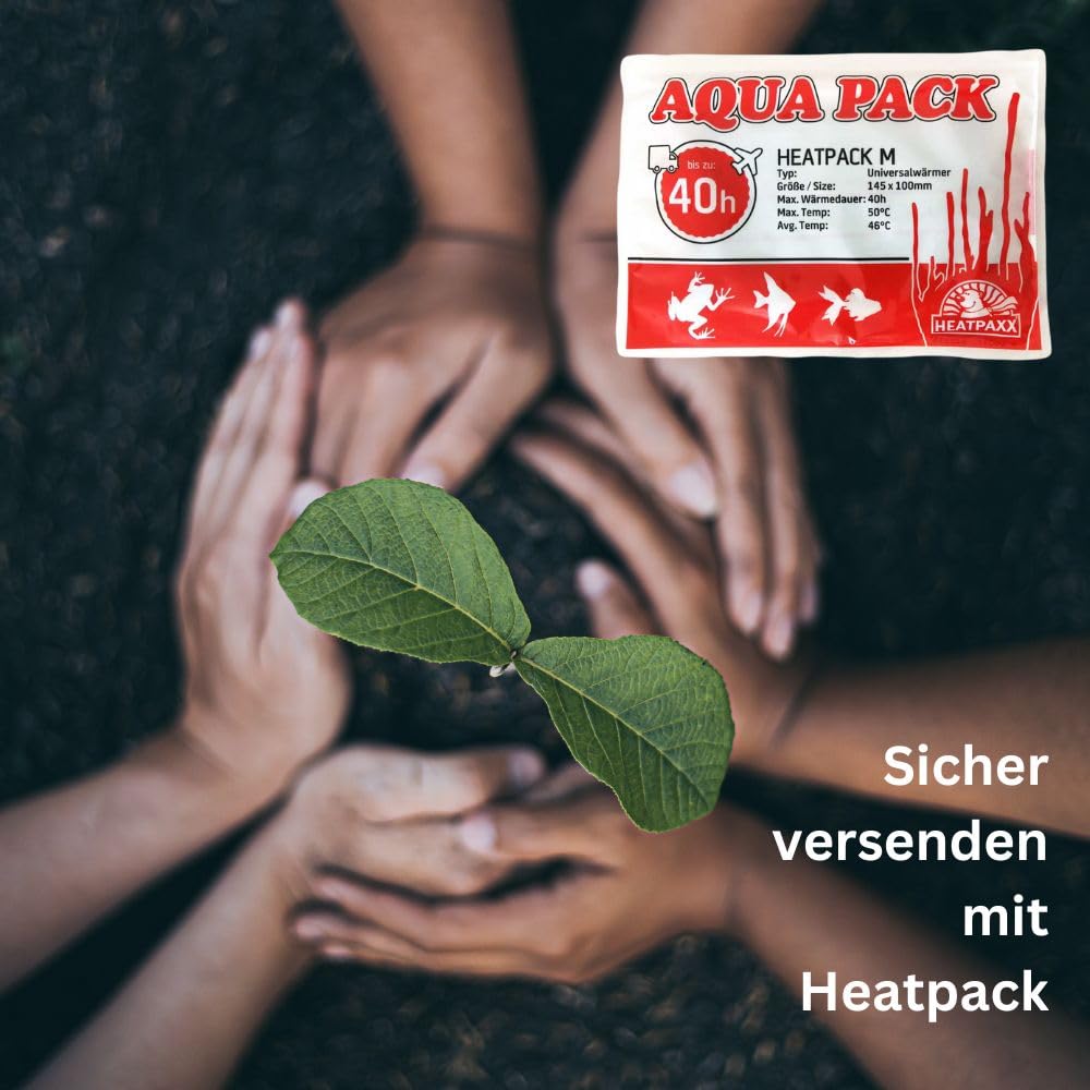 HeatPaxx Universalwärmer HeatPack M 40h 10 cm x 13 cm 40 Stunden Wärmedauer