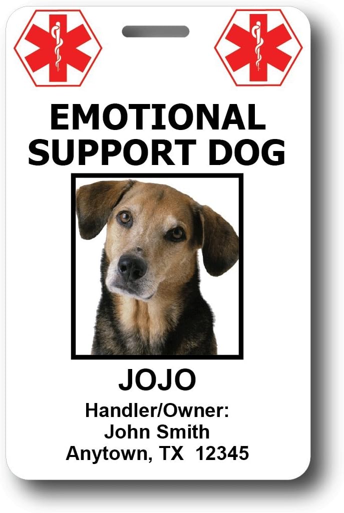 Service Animal ID Cards (3 (Set), Custom Dog ID)