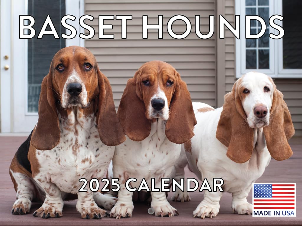 Basset Hounds Calendar 2024