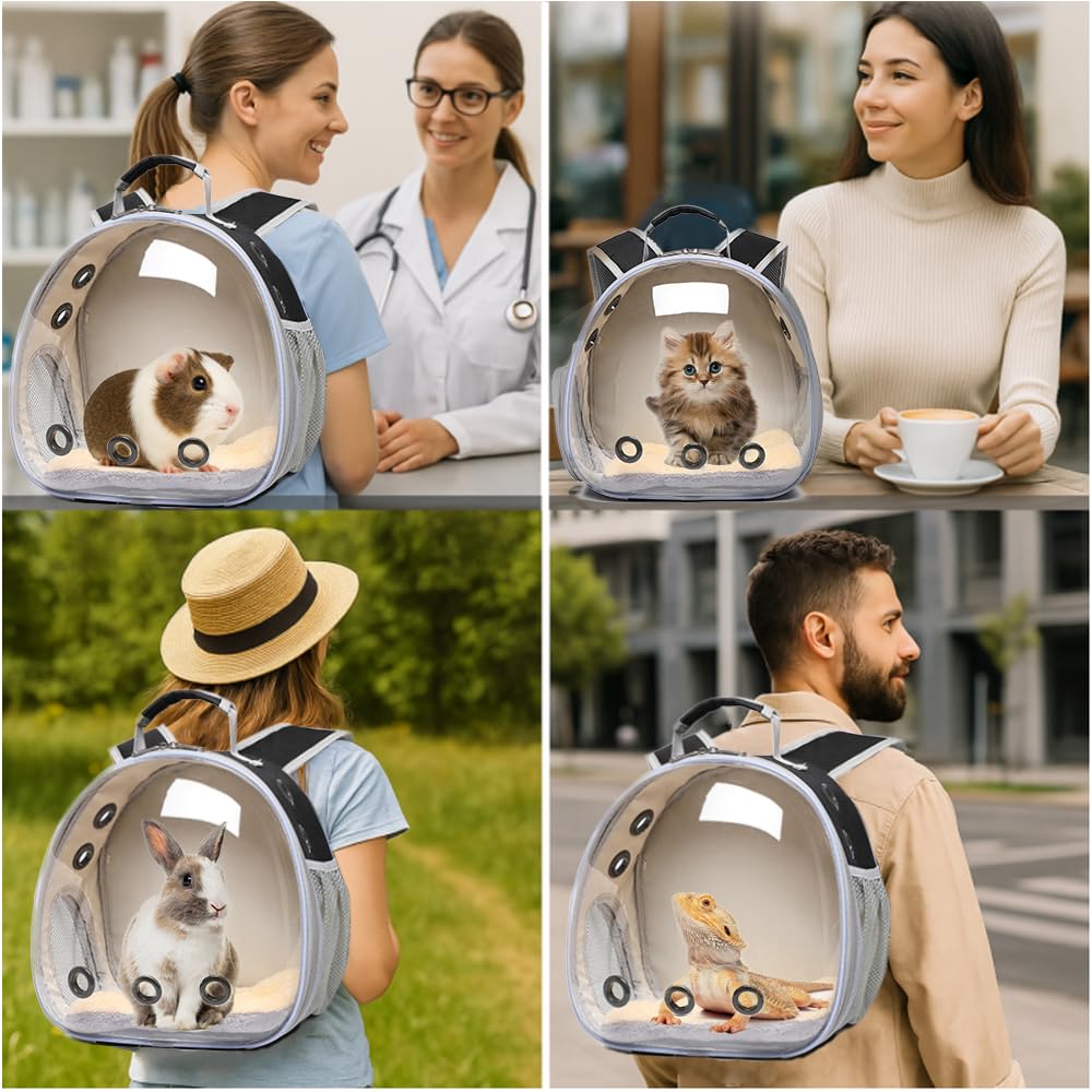 Sac à dos de transport respirant pour cochon d'Inde, lapin, dragon barbu, lézard, hamster, chaton - Parfait pour les visites vétérinaires et les aventures en plein air (noir)