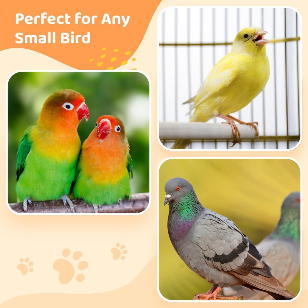 Acrylic Bird Bath Cage, Hanging Bath Box for Small Birds, Ideal for Parrots, Cockatiels, Lovebirds, & More