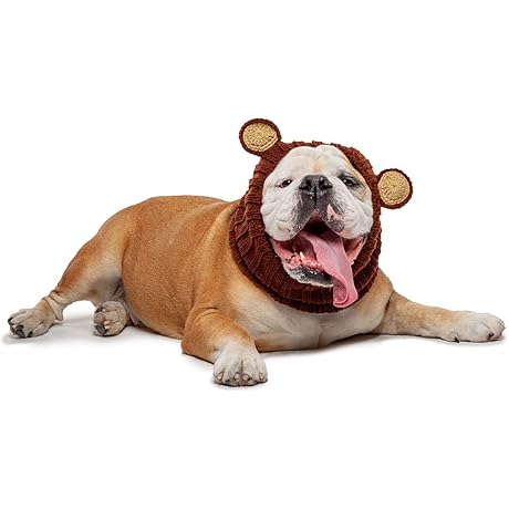 Large Dog Grizzly Bear Costume