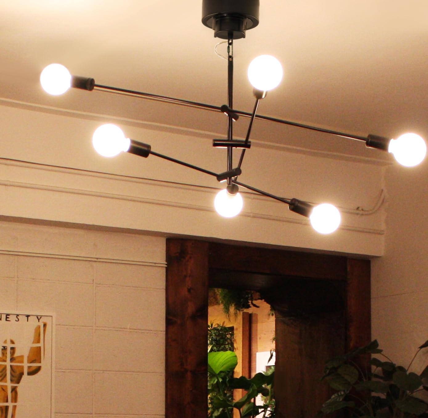 Amazon.co.jp : シーリングライト カーディナル ペンダントライト