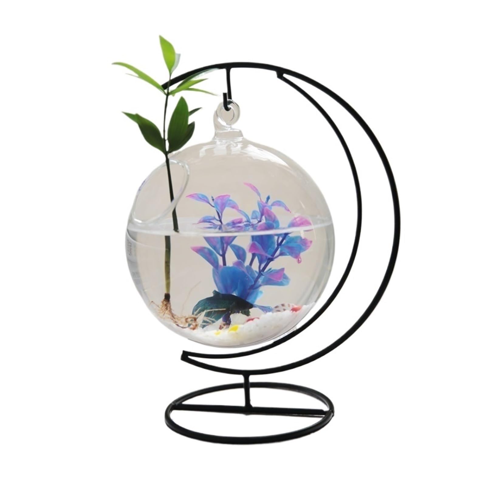 Aquarium Dekoratives Aquarium for den Schreibtisch, for Aufhängen, rundes Aquarium aus klarem Glas mit gebogenem Rahmen aus schwarzem Metall Fischtank