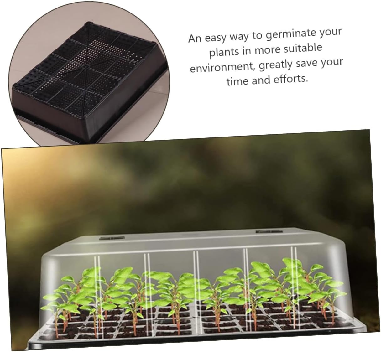 1 Set Plastic Plant Tray with Humidity Dome Reusable Seedling Germination Trays for Greenhouse Gardening for Starting for Plant Growth