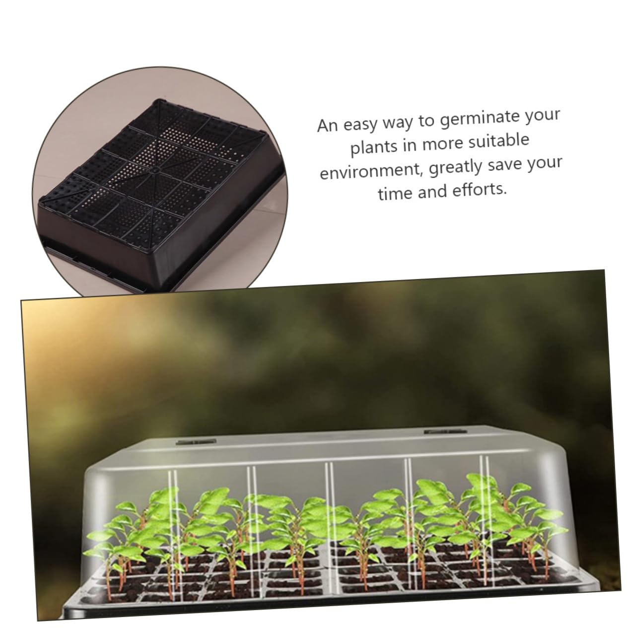 BESPORTBLE Vassoio per Semina in Plastica con Cupola di umidità per Piante Vassoio per Piantine di Germinazione per Crescita dei Semi